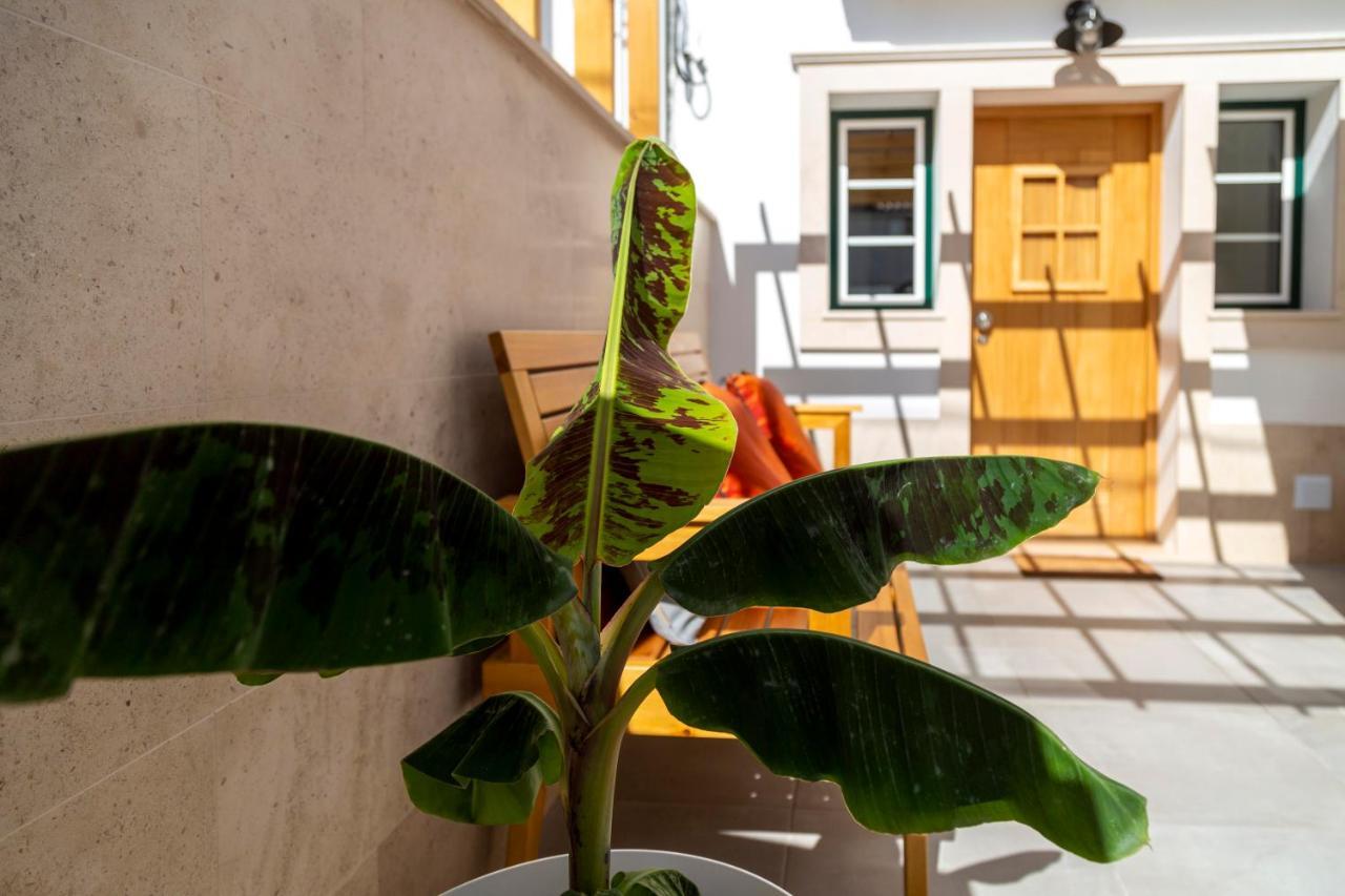 Vila Farol Nazare Exterior photo
